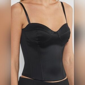 Aritzia Ten Dazzle Satin Bustier
